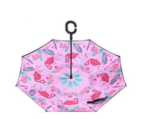 Upside down umbrellas